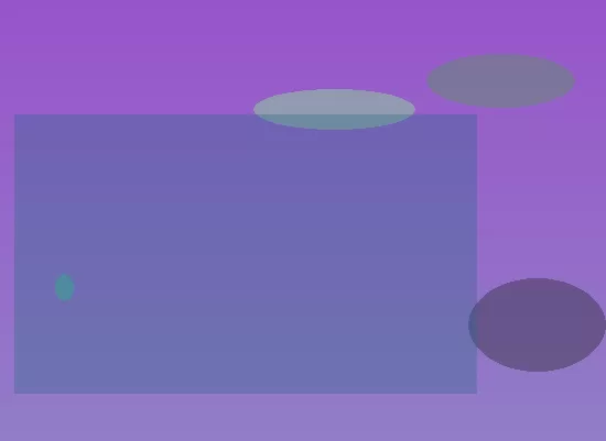 星空体育app部门
