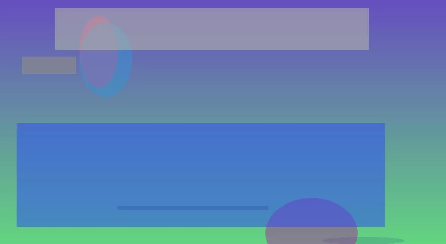 星空体育app团队