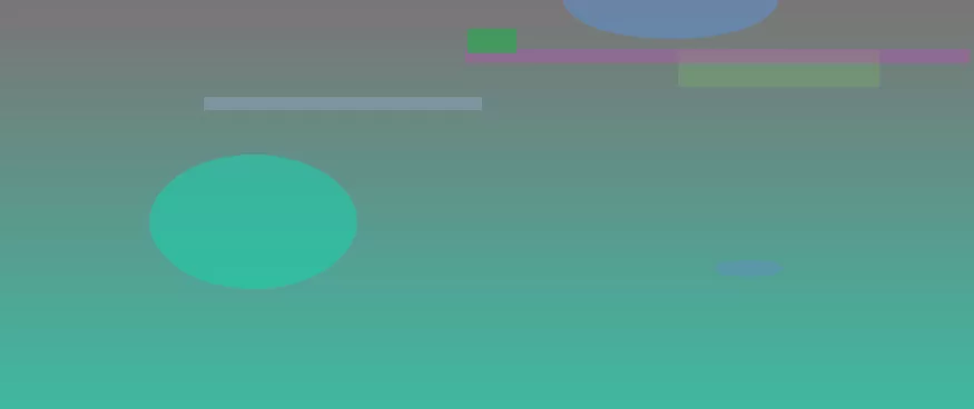 星空体育app部门