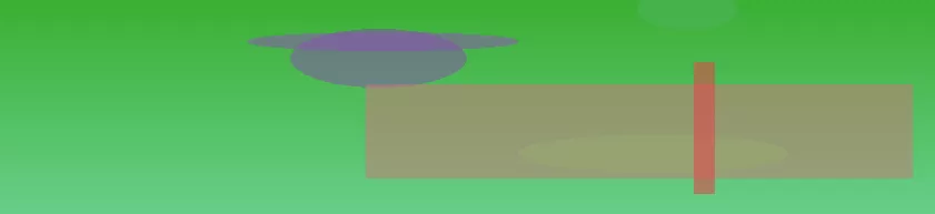 星空体育app部门