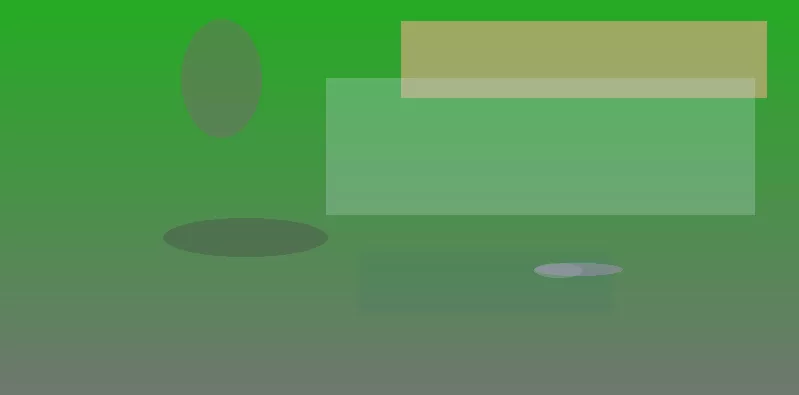 星空体育app公司