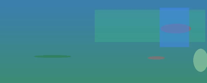 星空体育app团队