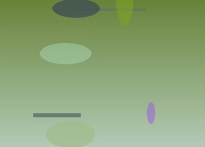 星空体育app团队