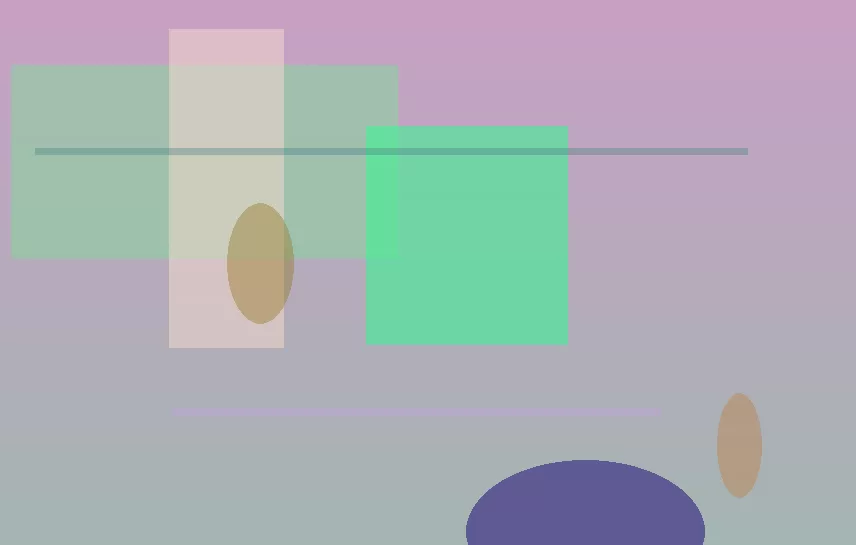星空体育app团队