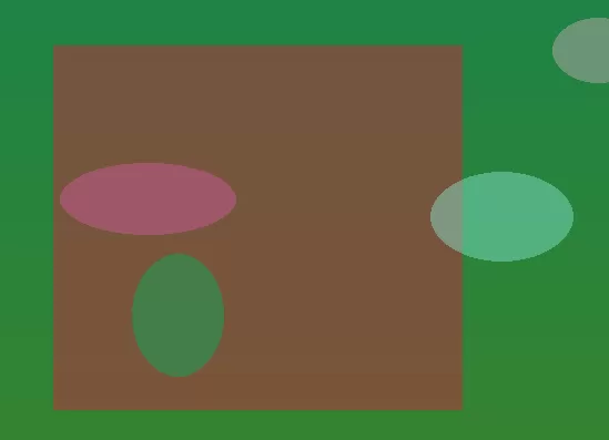 星空体育app团队