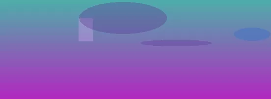 星空体育app团队