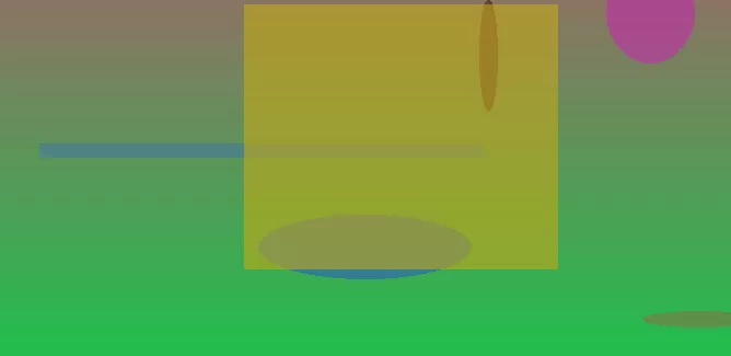 星空体育app公司