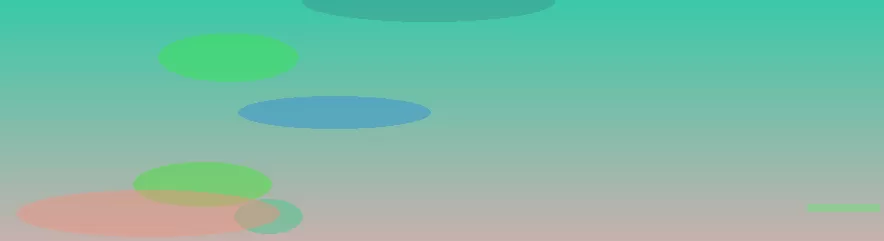 星空体育app团队