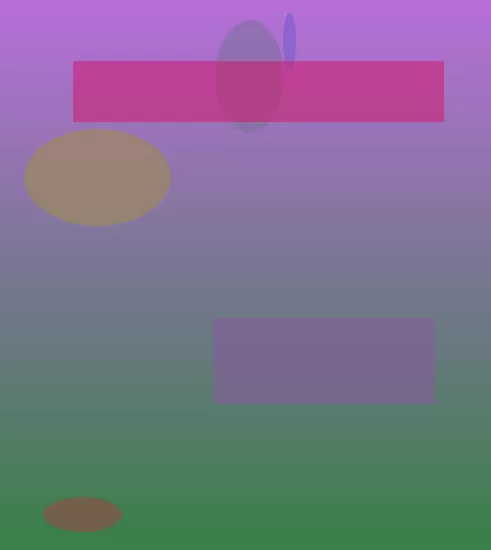 星空体育app