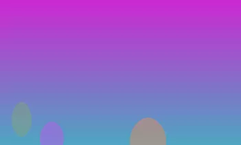星空体育app