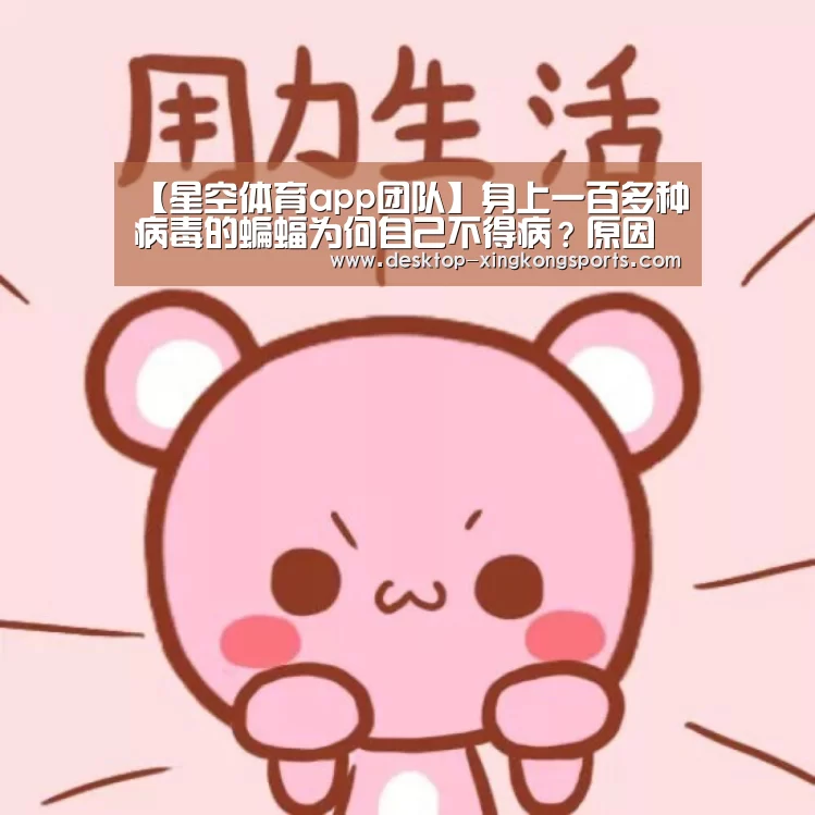 星空体育app部门