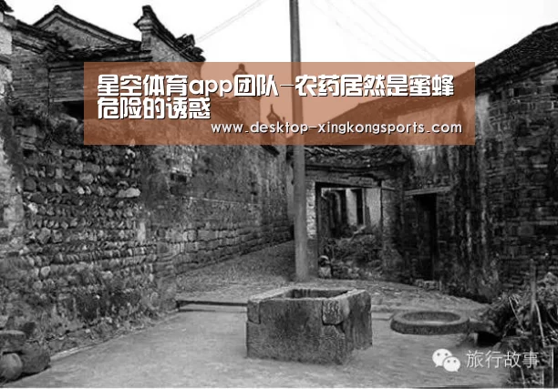 星空体育app团队-农药居然是蜜蜂危险的诱惑(图4) 星空体育app