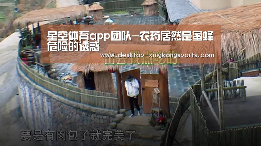 星空体育app团队-农药居然是蜜蜂危险的诱惑(图1) 星空体育app团队