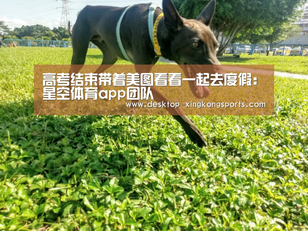 星空体育app部门