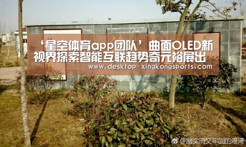 星空体育app