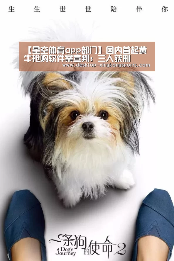 星空体育app