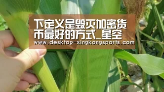 下定义是毁灭加密货币最好的方式_星空体育app团队(图4) 星空体育app