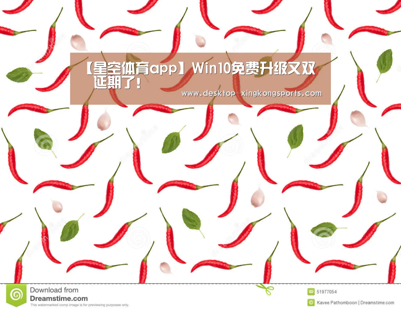 星空体育app团队