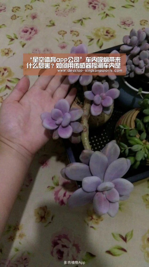 ‘星空体育app公司’车内吸烟带来什么危害?如何用传感器检测车内是否有人吸烟?(图2) 星空体育app