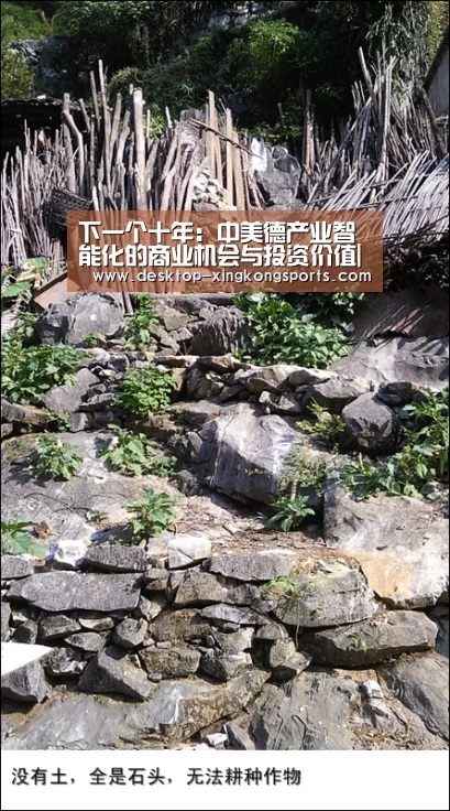 星空体育app